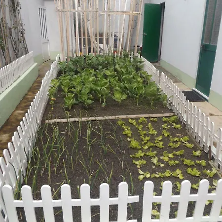 Casa Do Largo House-3